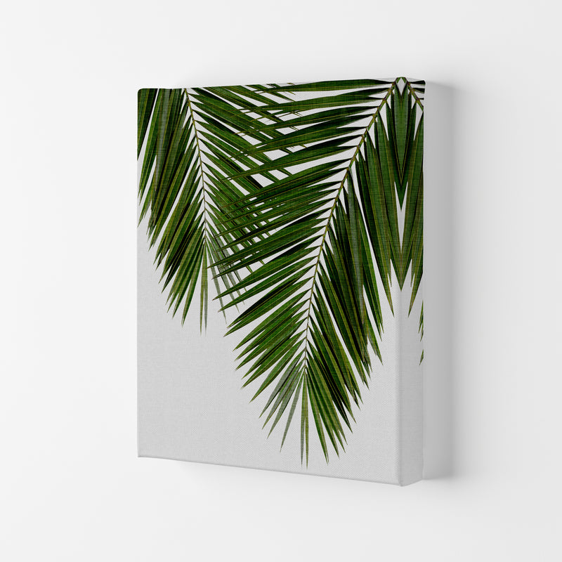 Palm Leaf II Print By Orara Studio, Framed Botanical & Nature Art Print Canvas