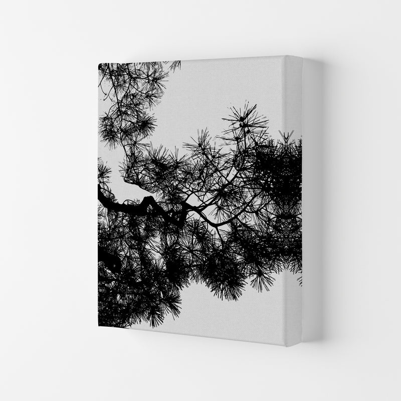 Pine Tree Black & White Print By Orara Studio Canvas