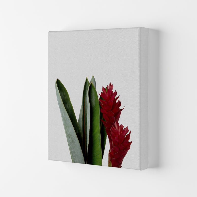 Red Flower Print By Orara Studio, Framed Botanical & Nature Art Print Canvas