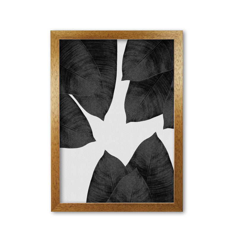 Banana Leaf Black & White I Print By Orara Studio Oak Grain