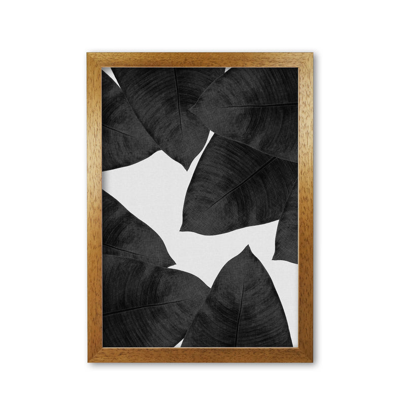 Banana Leaf Black & White II Print By Orara Studio Oak Grain