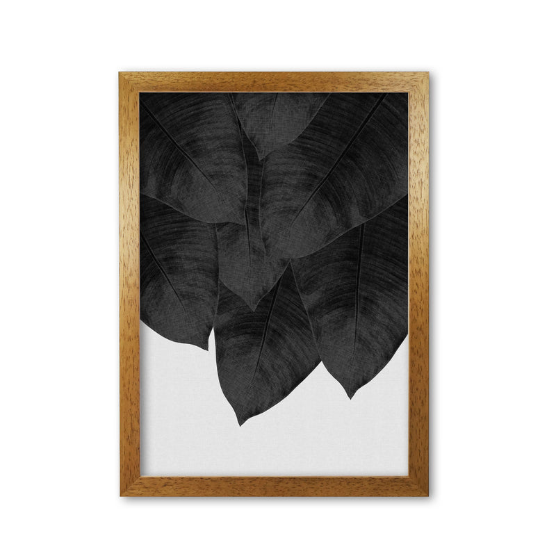Banana Leaf Black & White III Print By Orara Studio Oak Grain