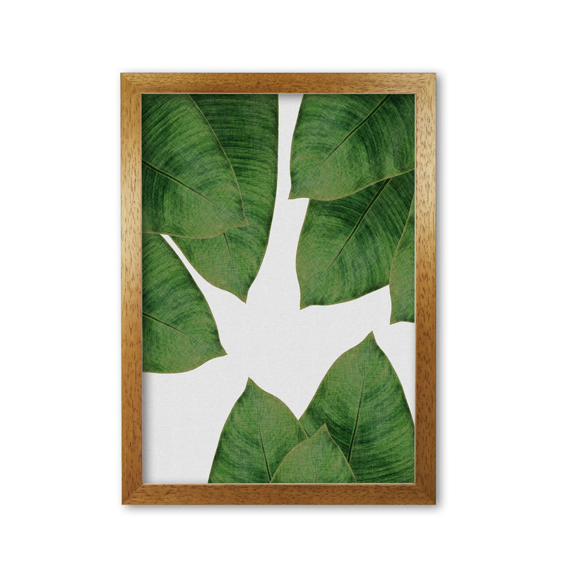 Banana Leaf I Print By Orara Studio, Framed Botanical & Nature Art Print Oak Grain