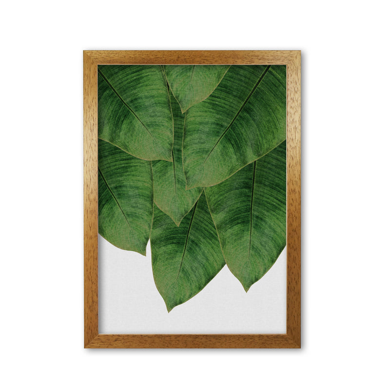 Banana Leaf III Print By Orara Studio, Framed Botanical & Nature Art Print Oak Grain