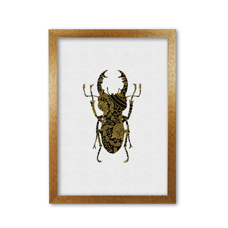 Black And Gold Beetle II Print By Orara Studio Animal Art Print Oak Grain