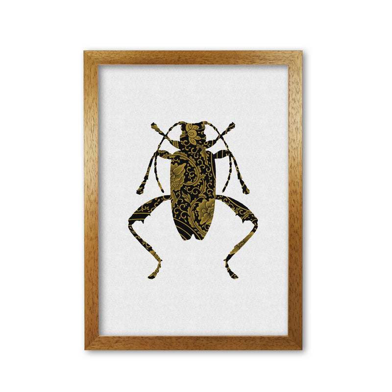 Black And Gold Beetle III Print By Orara Studio Animal Art Print Oak Grain