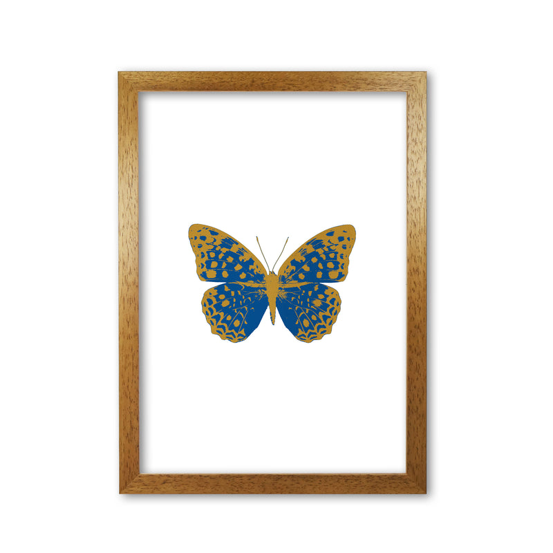 Blue Butterfly Print By Orara Studio Animal Art Print Oak Grain