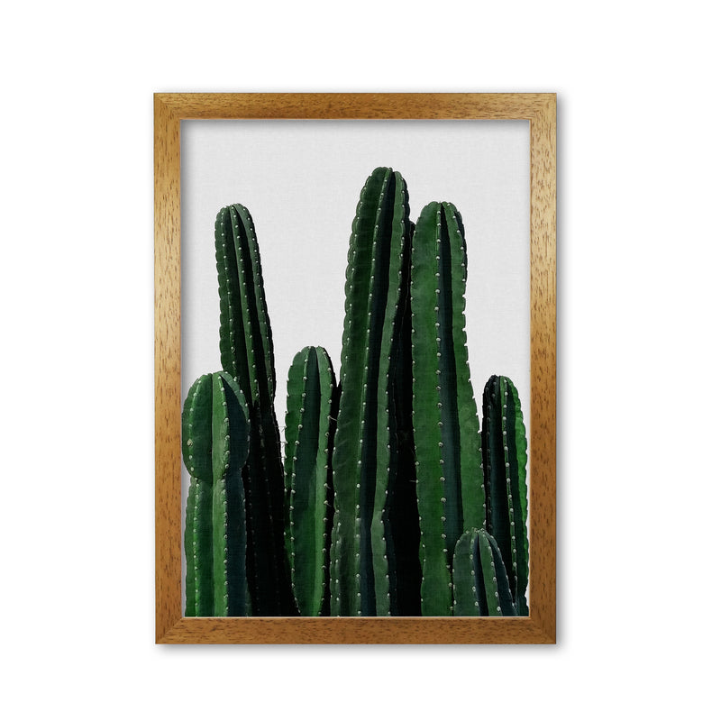 Cactus I Print By Orara Studio, Framed Botanical & Nature Art Print Oak Grain