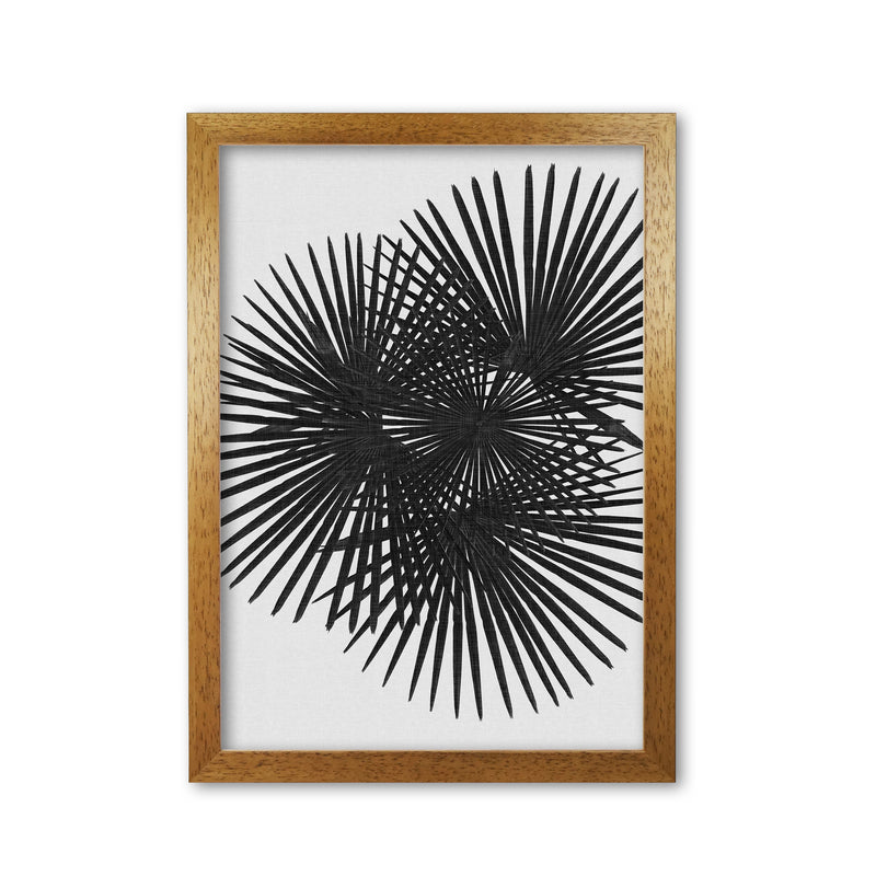 Fan Palm Black & White Print By Orara Studio Oak Grain