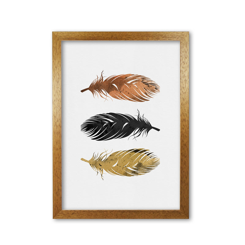 Feathers Print By Orara Studio, Framed Botanical & Nature Art Print Oak Grain