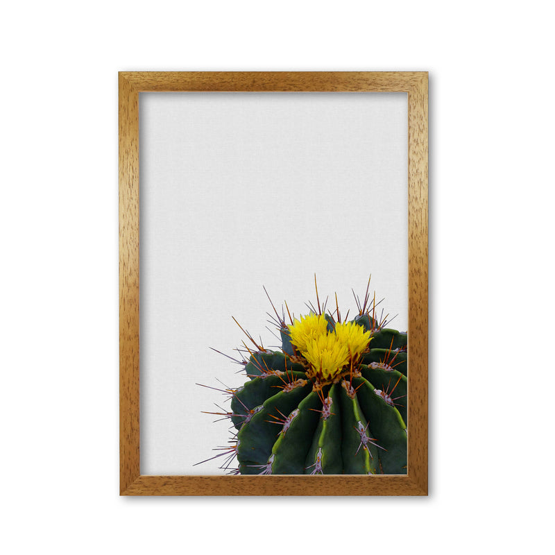 Flower Cactus Print By Orara Studio, Framed Botanical & Nature Art Print Oak Grain