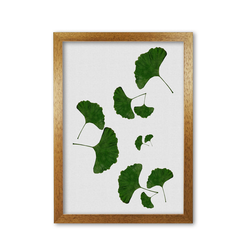 Ginkgo Leaf I Print By Orara Studio, Framed Botanical & Nature Art Print Oak Grain