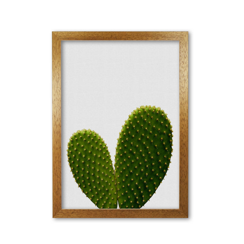 Heart Cactus Print By Orara Studio, Framed Botanical & Nature Art Print Oak Grain