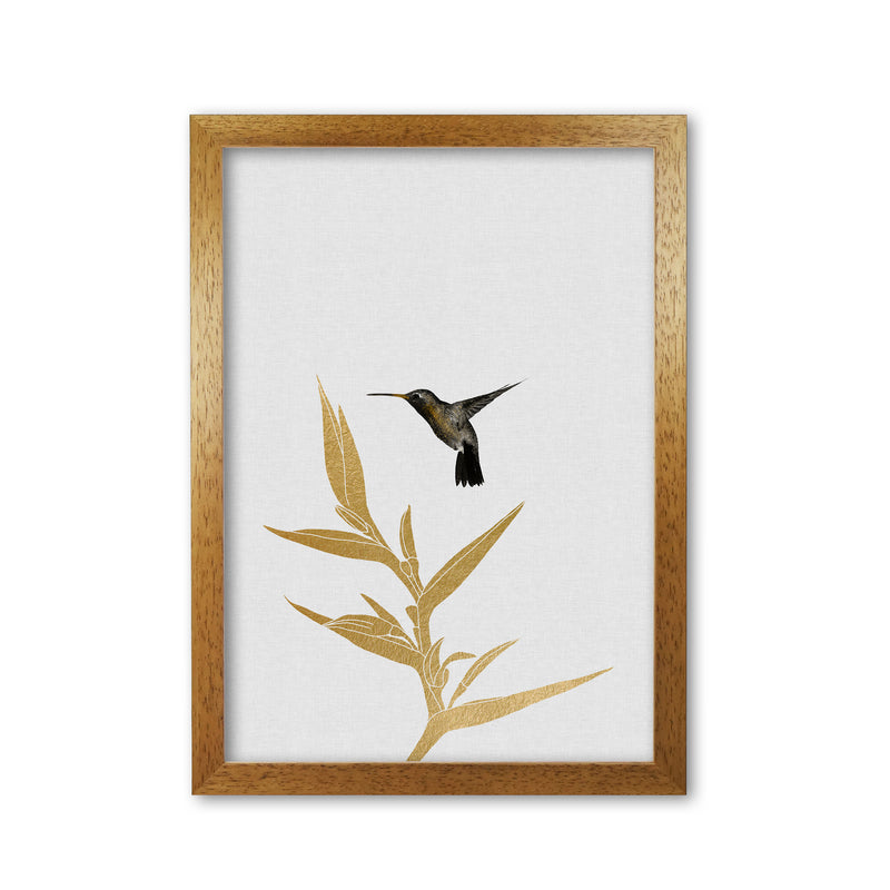 Hummingbird & Flower II Print By Orara Studio Oak Grain