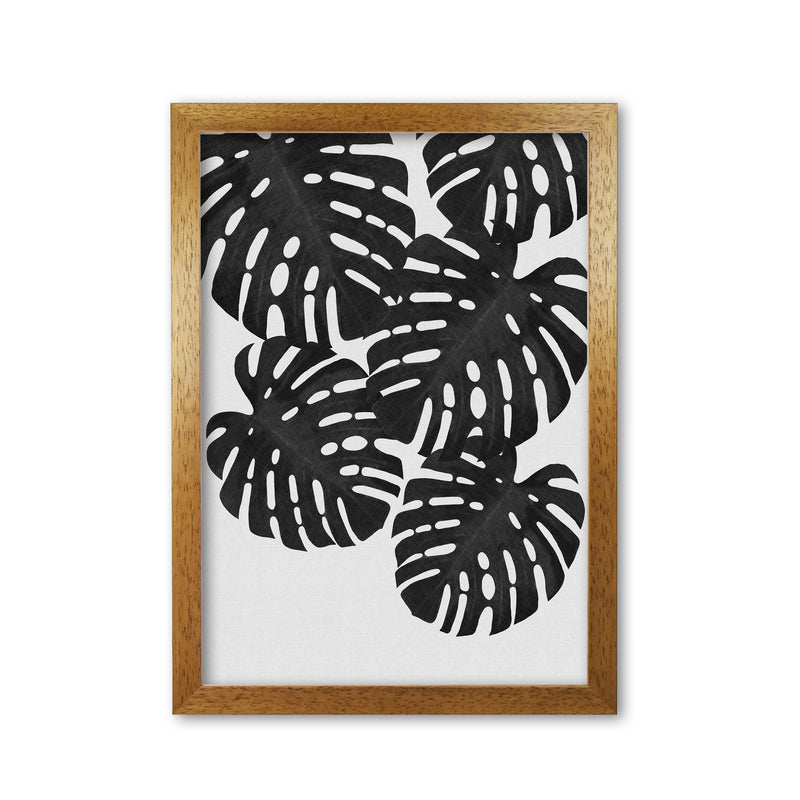 Monstera Black & White I Print By Orara Studio Oak Grain