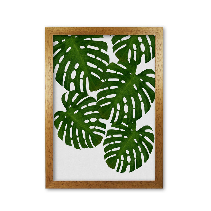 Monstera Leaf I Print By Orara Studio, Framed Botanical & Nature Art Print Oak Grain