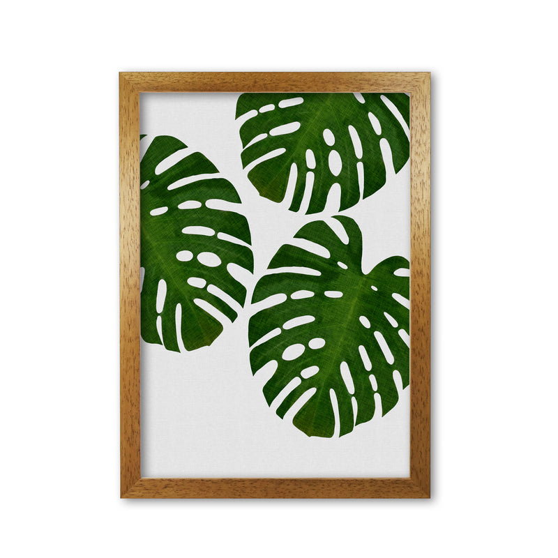 Monstera Leaf III Print By Orara Studio, Framed Botanical & Nature Art Print Oak Grain