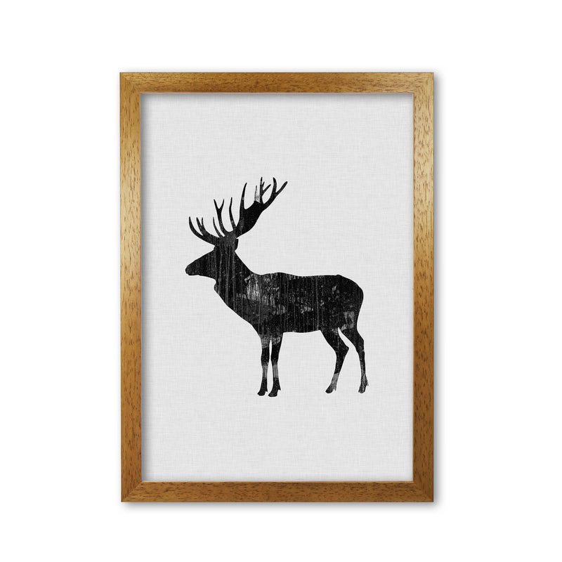 Moose Animal Art Print By Orara Studio Animal Art Print Oak Grain