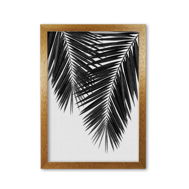 Palm Leaf Black & White II Print By Orara Studio Oak Grain