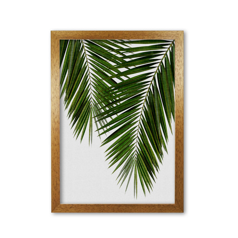 Palm Leaf II Print By Orara Studio, Framed Botanical & Nature Art Print Oak Grain