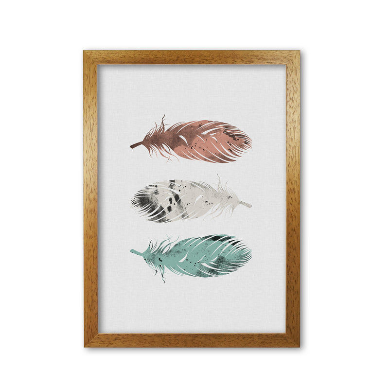 Pastel Feathers Print By Orara Studio, Framed Botanical & Nature Art Print Oak Grain