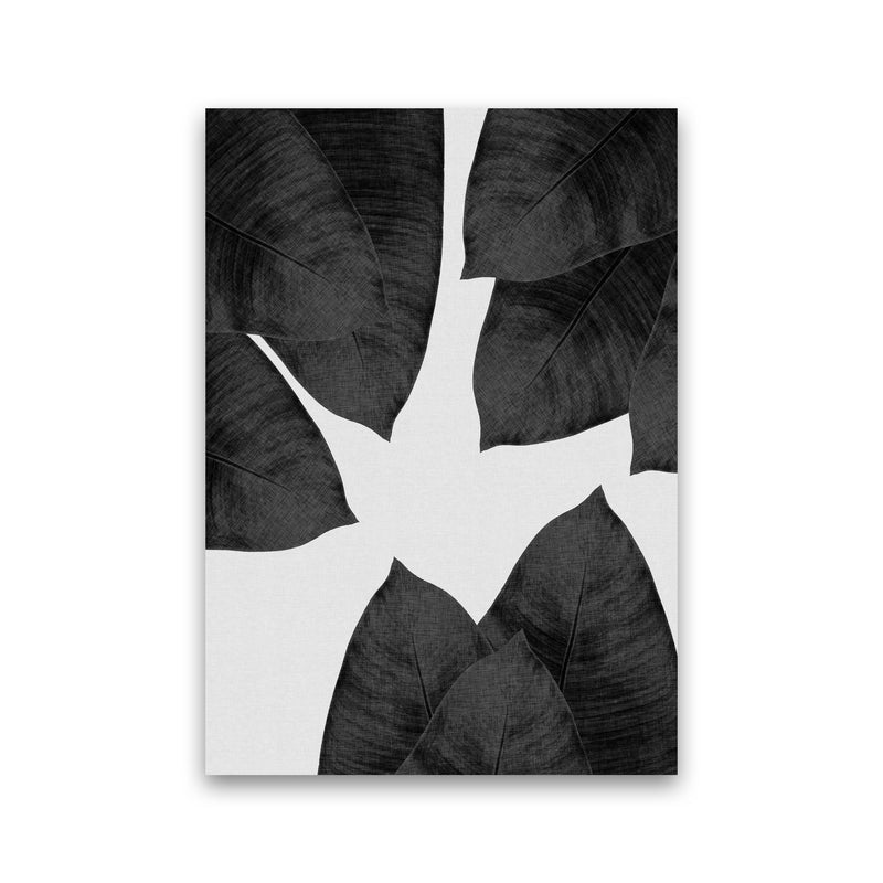 Banana Leaf Black & White I Print By Orara Studio Print Only