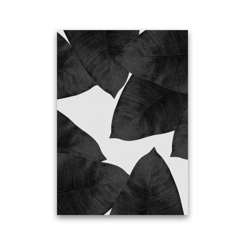 Banana Leaf Black & White II Print By Orara Studio Print Only