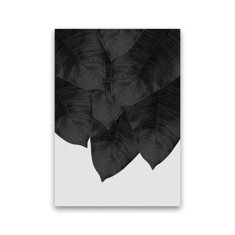 Banana Leaf Black & White III Print By Orara Studio Print Only