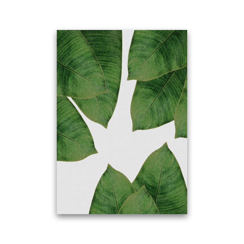 Banana Leaf I Print By Orara Studio, Framed Botanical & Nature Art Print Print Only