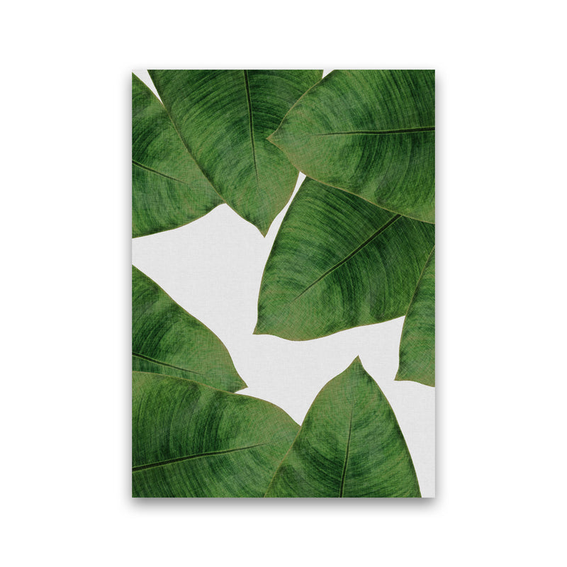 Banana Leaf II Print By Orara Studio, Framed Botanical & Nature Art Print Print Only