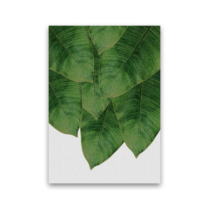 Banana Leaf III Print By Orara Studio, Framed Botanical & Nature Art Print Print Only