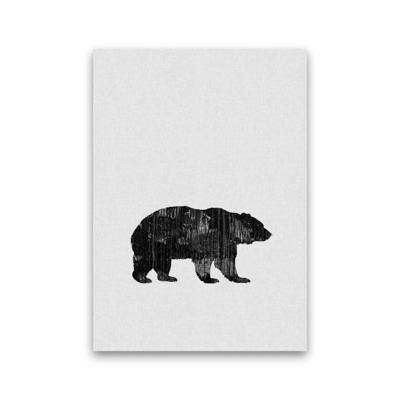 Bear Animal Art Print By Orara Studio Animal Art Print Print Only
