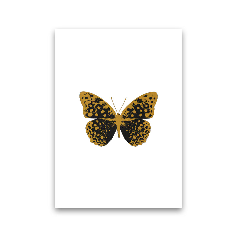 Black Butterfly Print By Orara Studio Animal Art Print Print Only