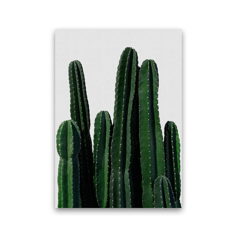 Cactus I Print By Orara Studio, Framed Botanical & Nature Art Print Print Only