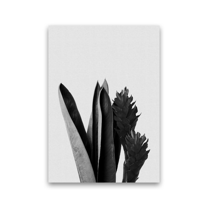 Flower Black & White Print By Orara Studio Print Only