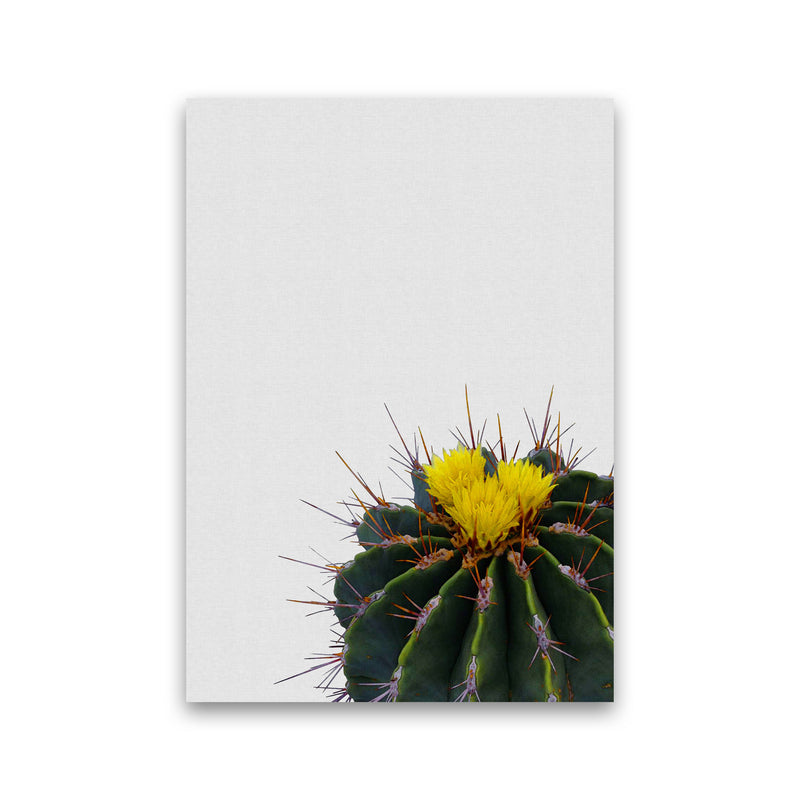 Flower Cactus Print By Orara Studio, Framed Botanical & Nature Art Print Print Only