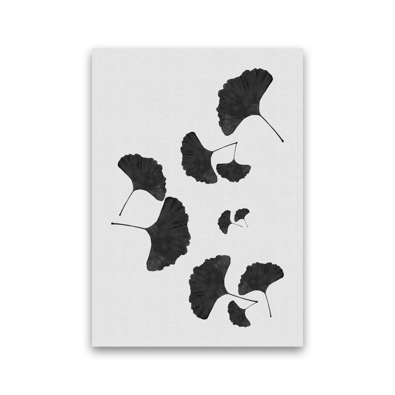 Ginkgo Leaf Black & White I Print By Orara Studio Print Only