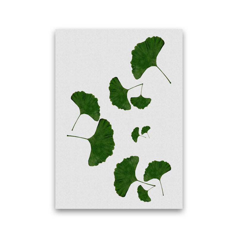 Ginkgo Leaf I Print By Orara Studio, Framed Botanical & Nature Art Print Print Only