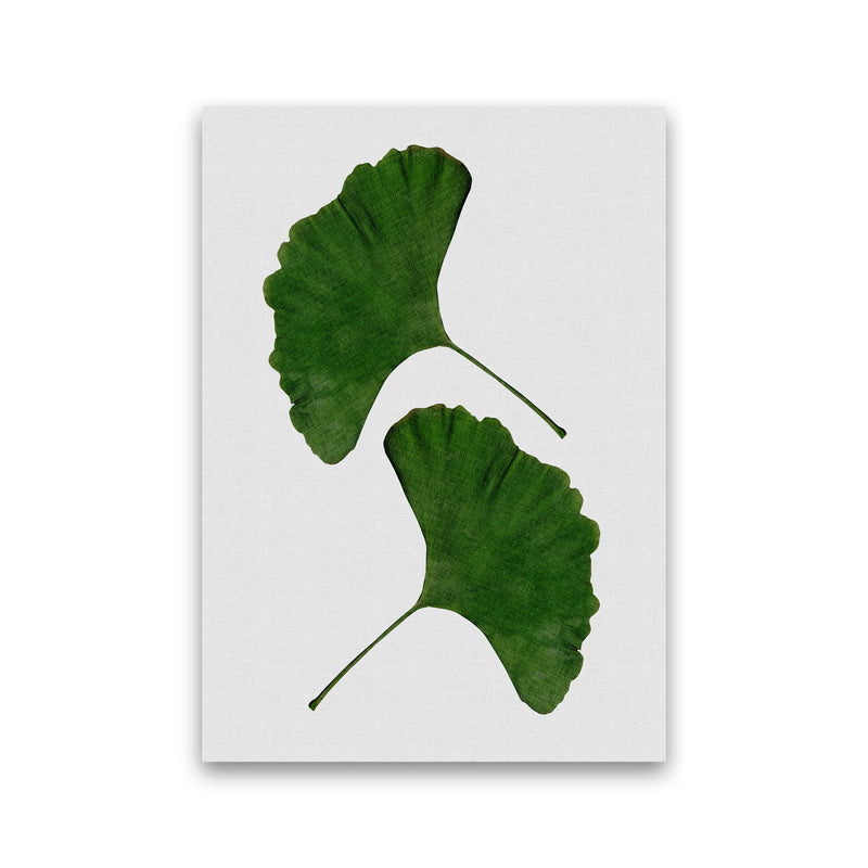 Ginkgo Leaf II Print By Orara Studio, Framed Botanical & Nature Art Print Print Only