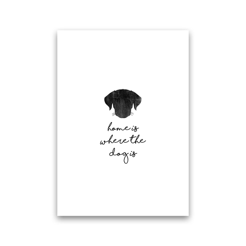 Home Is Where The Dog Is Print By Orara Studio Animal Art Print Print Only