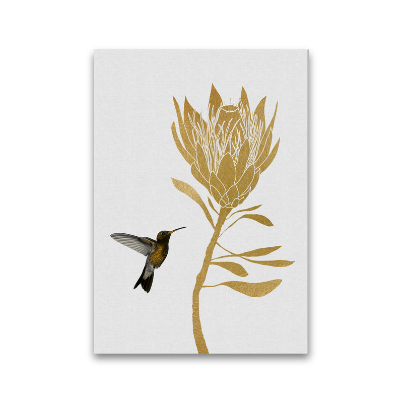 Hummingbird & Flower I Print By Orara Studio Print Only