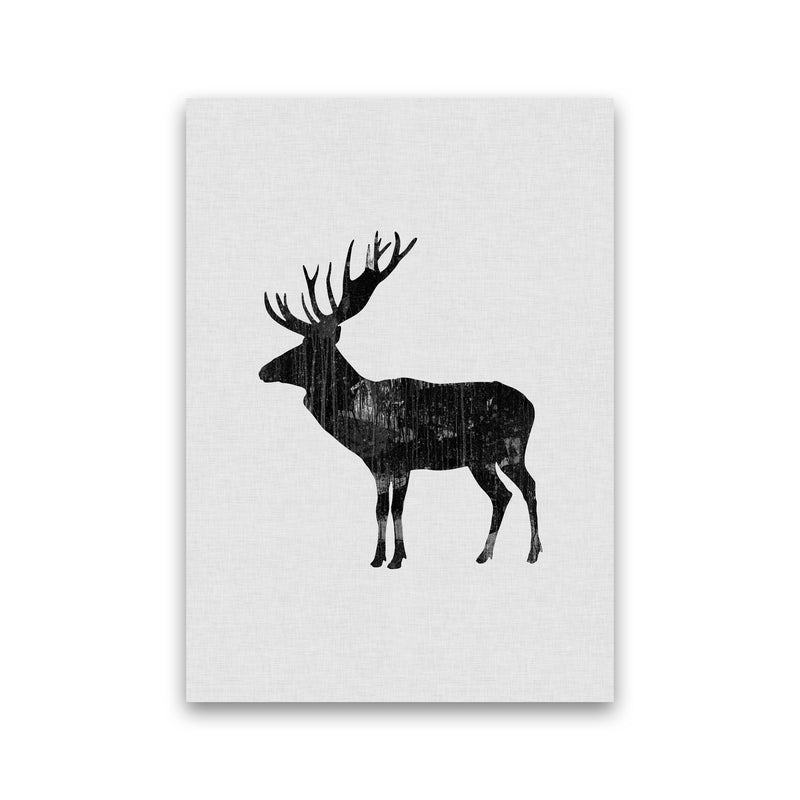 Moose Animal Art Print By Orara Studio Animal Art Print Print Only