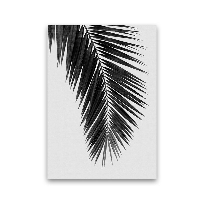 Palm Leaf Black & White I Print By Orara Studio Print Only