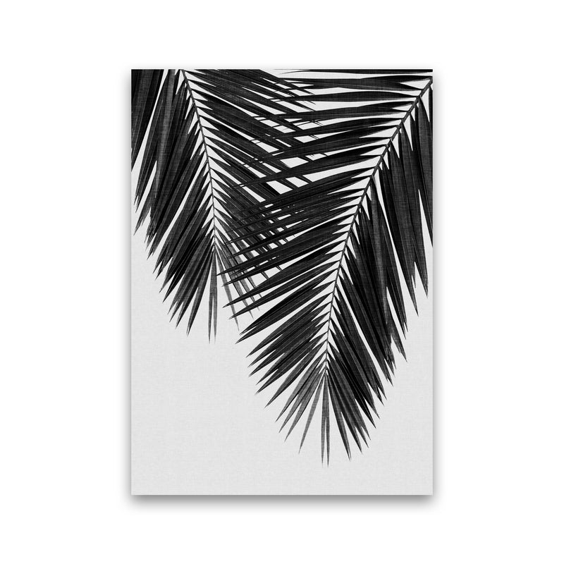 Palm Leaf Black & White II Print By Orara Studio Print Only