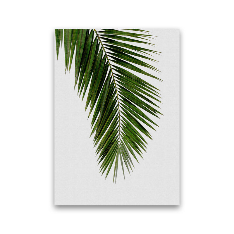 Palm Leaf I Print By Orara Studio, Framed Botanical & Nature Art Print Print Only