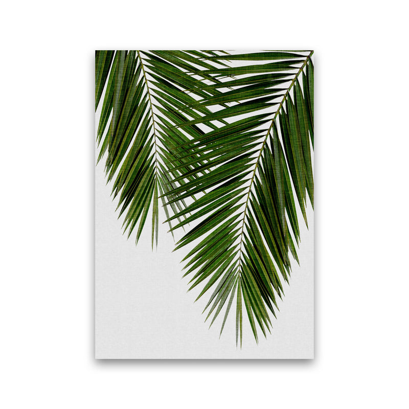 Palm Leaf II Print By Orara Studio, Framed Botanical & Nature Art Print Print Only
