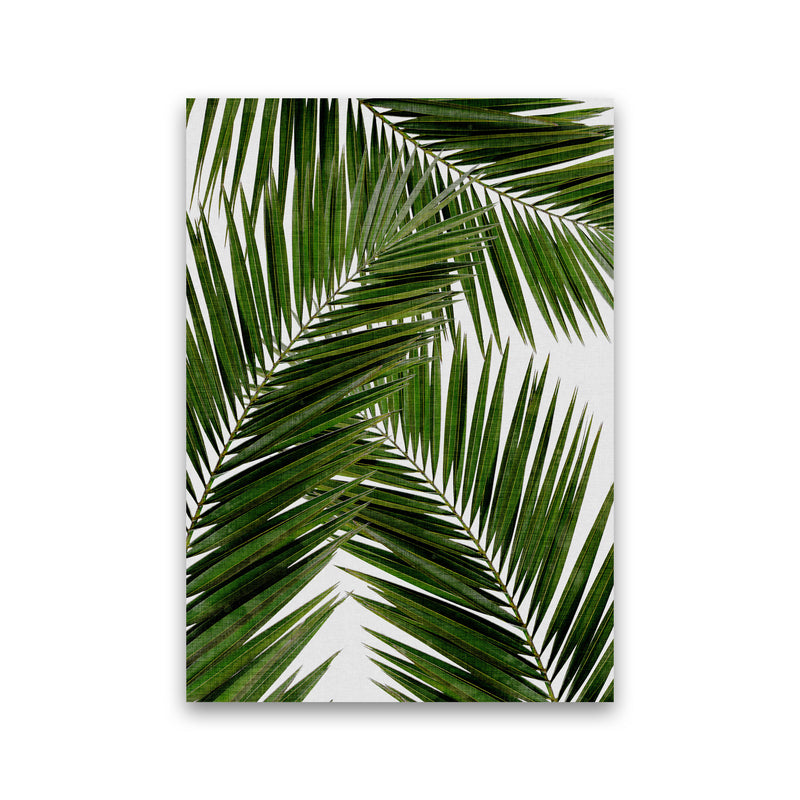 Palm Leaf III Print By Orara Studio, Framed Botanical & Nature Art Print Print Only