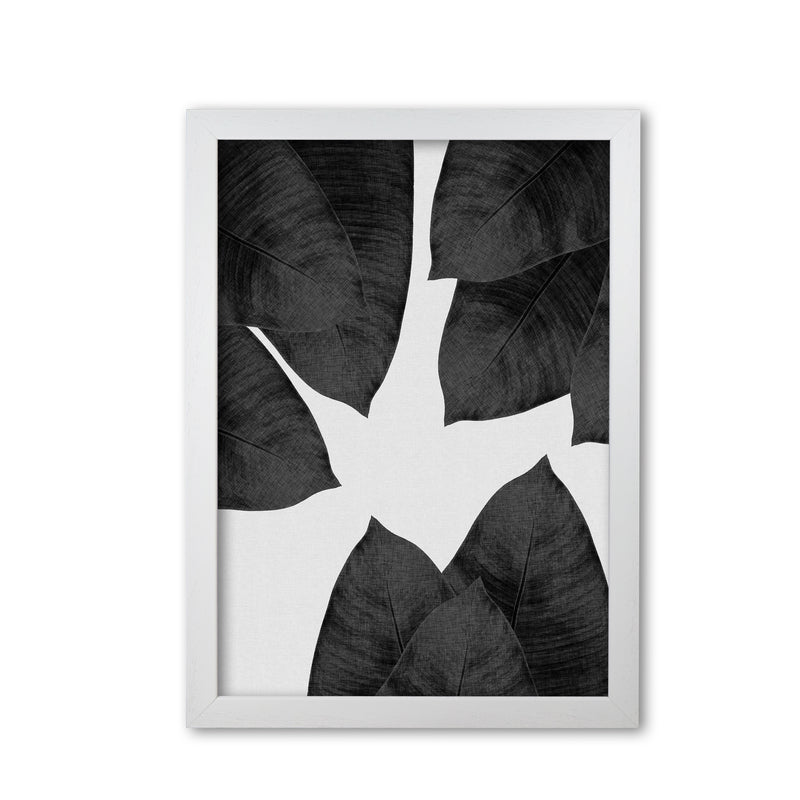 Banana Leaf Black & White I Print By Orara Studio White Grain