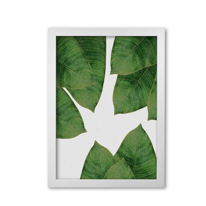 Banana Leaf I Print By Orara Studio, Framed Botanical & Nature Art Print White Grain