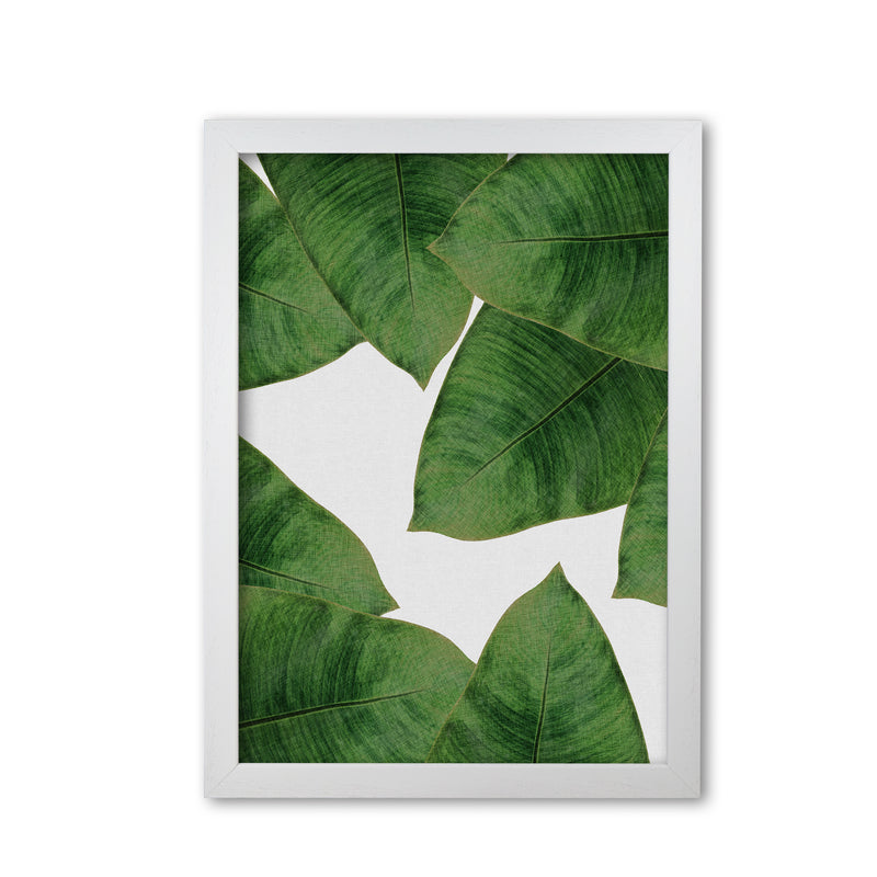 Banana Leaf II Print By Orara Studio, Framed Botanical & Nature Art Print White Grain